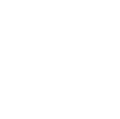 icon b-1