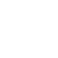 icon c